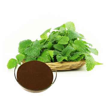 pure natural lemon balm extract powder