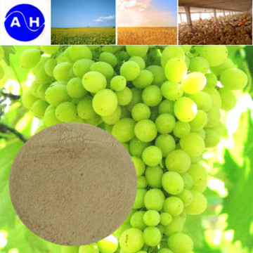 Amino Acid Chelate Fertilizer