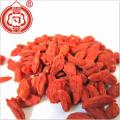 750 size Ningxia Organic goji berry fruit