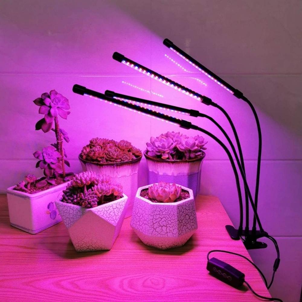 INDOOR GROW LIGHT