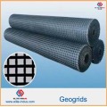 Plástico PP HDPE Pet Fiberglass Geogrids