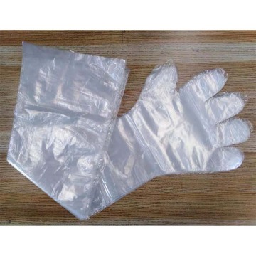 Disposable long arm veterinary gloves