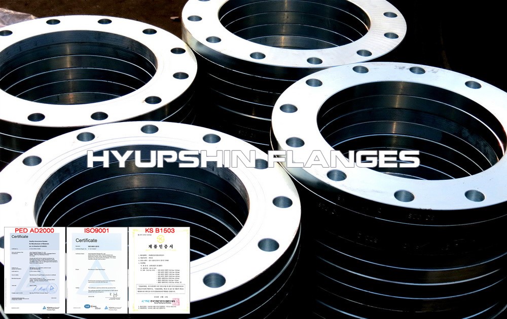 Hyupshin Flansche Plattenflansche Hyupshin Flanges Plate Flanges