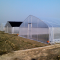 Large 10m Tunnel Plastic Film Greenhouse