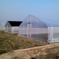 Hochfestes landwirtschaftliches Polytunnel -Tomaten Gewächshaus