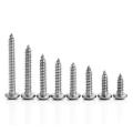 stainless steel Pan head Self Tapping Wood Screw