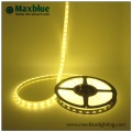 Disque de conduite concurrentiel Led China Manufacturer Flexible Smd 3528 Led Strip