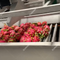 Fresh Cut Vegetables Air Dryer for vegetable processing