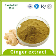 5% Husten -Suppressiva -Ingwerextrakt Gingerol