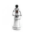 Robot Service Automation Commercial Service Robots