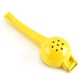 Colorful Painting Lemon Squeezer