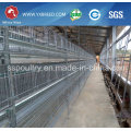 Uganda Layer Farm Chicken Cage para Venda