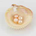 Snh Hot Sale Peach Loose Pearl Beads Wholeasle