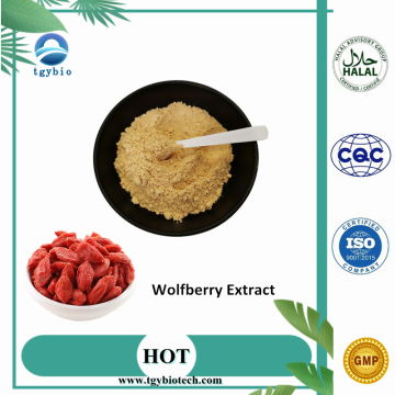 Amostra grátis 20% polissacarídeos UV Wolfberry Extract Powder