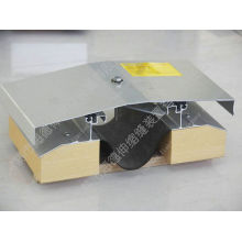 Ceiling Expansion Joint with Roof Expansion Joint