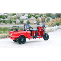 battery powered recreation tricycle/electric tricycle