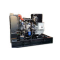 9kw / 11kVA Generador Diesel Silencioso de Yangdong con Ce / Soncap / CIQ Certificaciones