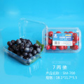 Biodegradable Plastic Eco-Friendly Fresh Fruit Container with Label