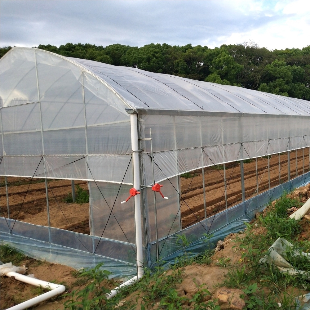 Film Multi-span Greenhouse Film Multi-span Greenhouse