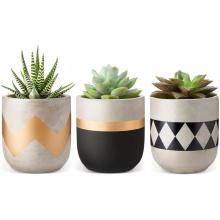 Cadeau de décoration intérieure pour petites plantes