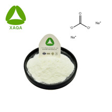 Carbonato de sódio em pó CAS 497-19-8