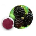 Best High Quality Blackberry Extract