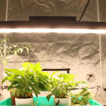 High ppfd par linear led grow light indoor