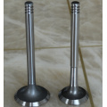 Heavy Truck Engine Valve Spare Parts