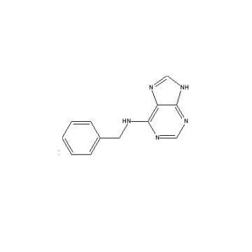 Reguladores de crescimento (PGRs) de plantas Benzylaminopurine-6 (6-BA) (CAS 1214-39-7)