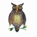 Black Metal Owl Garden Wall Craft with Color Stone Eye