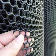 Hexagonal Hole Shape Plastic Flat Netting for Sale