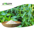 Andrographis paniculata extract andrographolide 98%