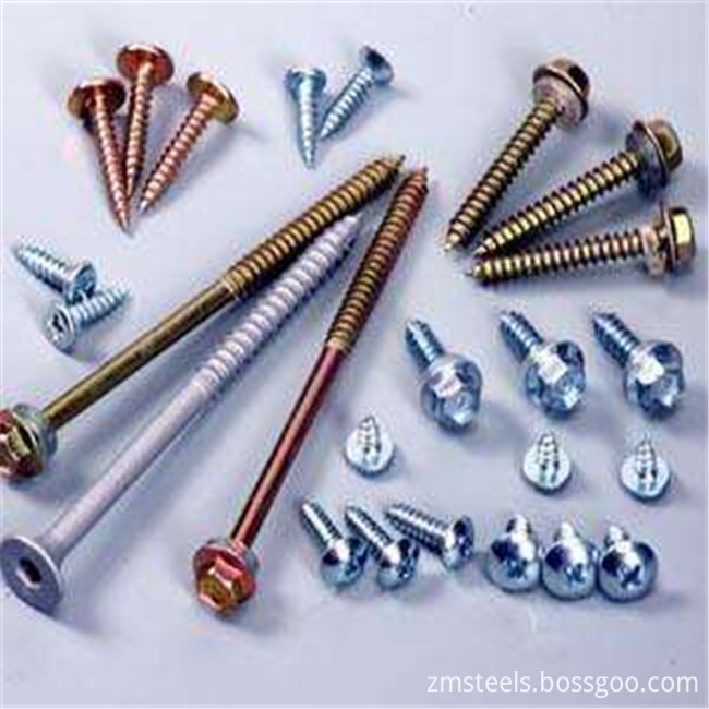 kind of screw nails types