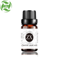 Factory directly privide Carrot Seed Essential Oil