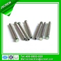 Special Screw Left Hand Thread Screw