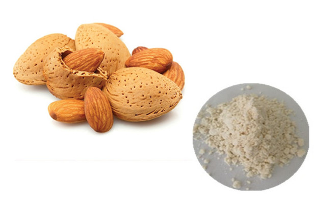 Almond Extract Powder