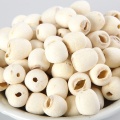 Organic Lotus Seed, Chinese Lotus Seed