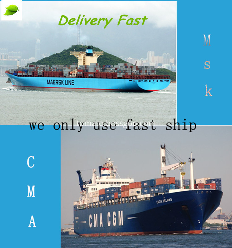 MAERSK line, CMA-CGM, MOL