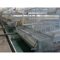 Galvanisation automatique Broiler Chicken Cage (H Type)