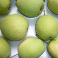 Top Quality Chinese Fresh Shandong Pear