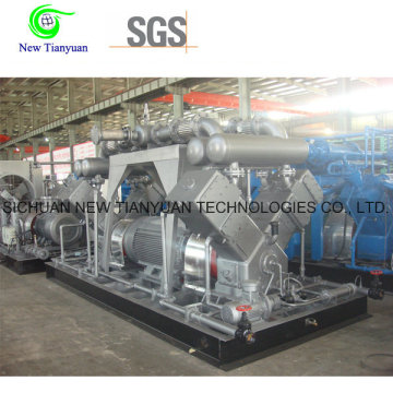 China Supplier Piston Reciprocating Industrial Gas Compressor