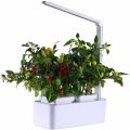 Hydroponics Gartenblumentopf mit LED-Licht