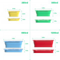 Silicone Food Storage Containers with Airtight Plastic Lids