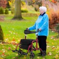 2 in 1 Folding Rollator Walkers for Elderly