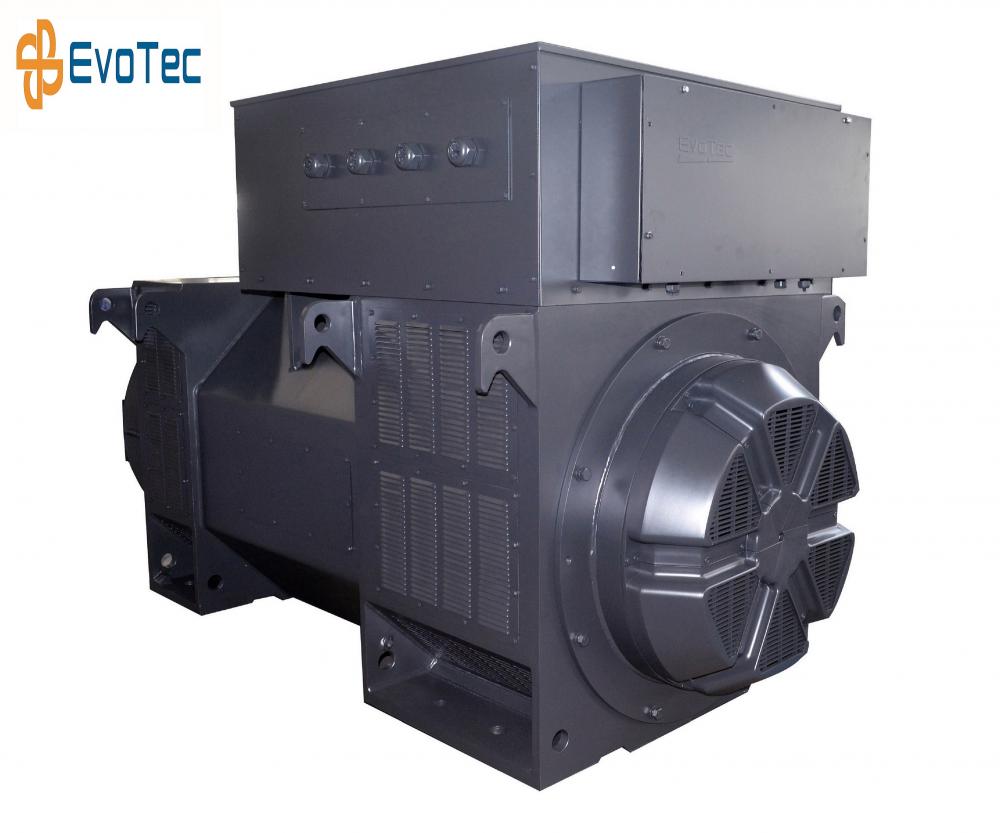 3300v-13800v Industrial 6 Pole Generator