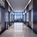 Passenger Elevator Lift for Commercial/Residential Buildings