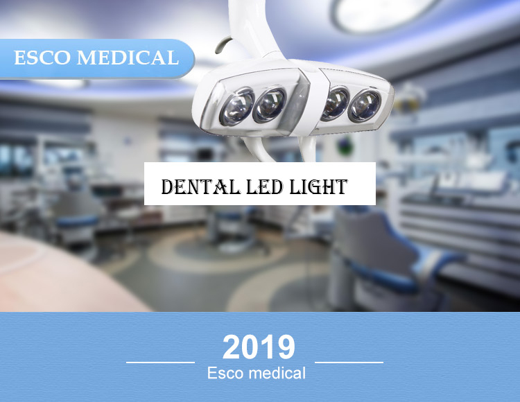 Dental LED light