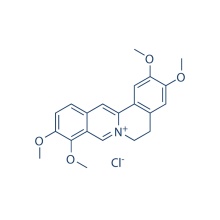 Palmatinchlorid 10605-02-4