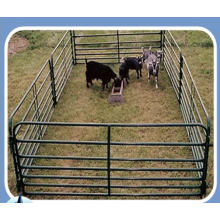 Wholesale Horse Fencing For Sale