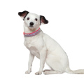 PU Leather Cat Dog Collars